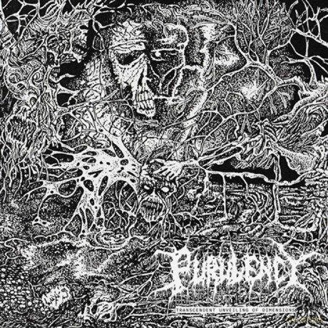 Purulency: Transcendent Unveiling Of Dimensions [CD]