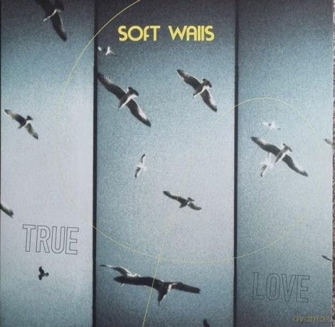 Soft Walls: True Love [Winyl]