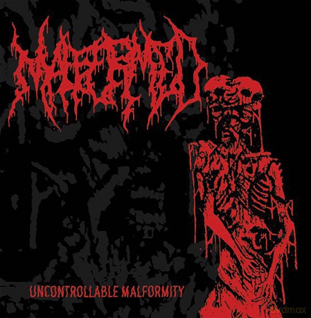 Malformed: Uncontrollable Malformity [Winyl]