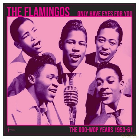 Flamingos: We Only Have Eyes For You: The Doo Wop Years 1953-61 [Winyl]