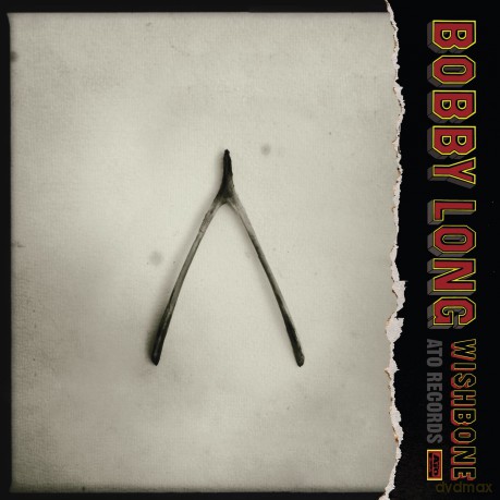 Bobby Long: Wishbone [Winyl]