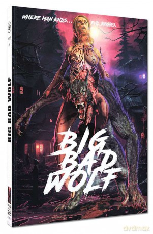 Big Bad Wolf (mediabook) [Blu-Ray]+[DVD]