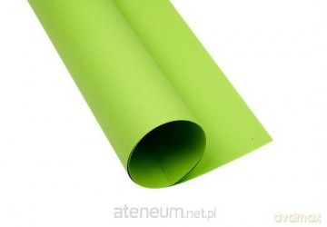 Karton kolorowy B1 225g jasnozielony (25szt)