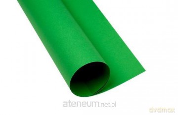 Karton kolorowy B1 225g zielony (25szt)