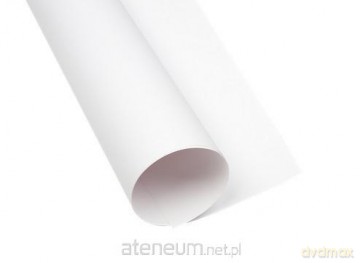 Karton kolorowy B1 300g biały (25szt)