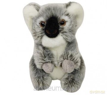 Koala siedząca 28cm