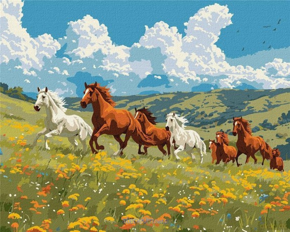 Malowanie po numerach - Siła i wdzięk 40x50cm