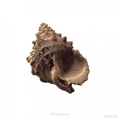 Puzzle 3D kartonowe - Muszla [PUZZLE]