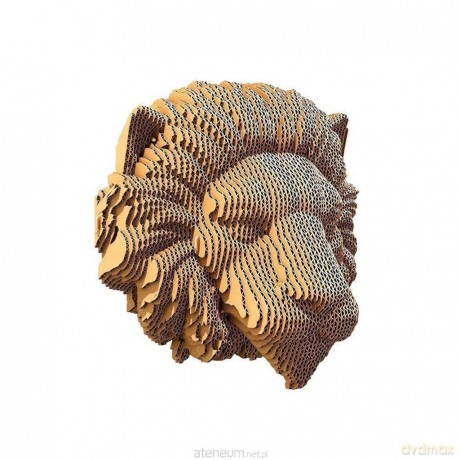 Puzzle ścienne 3D kartonowe - Lew [PUZZLE]