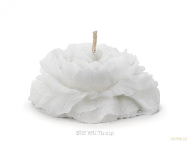 Świeca pływająca piwonia matowa biały 8cm 4szt