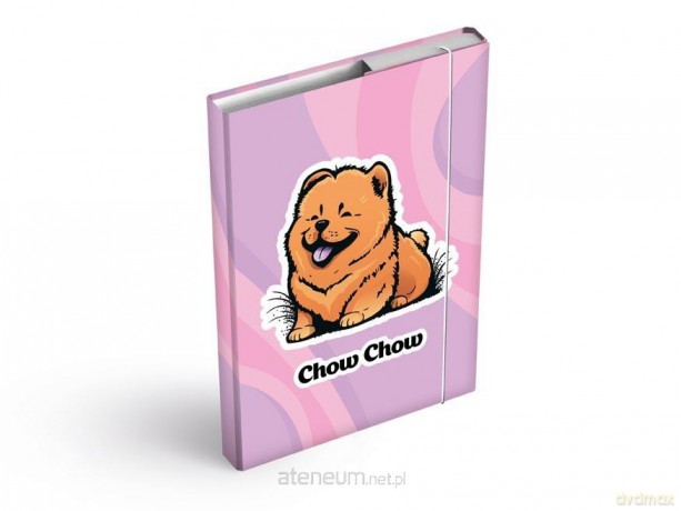 Teczka skrzydłowa z gumką A4 Chow Chow