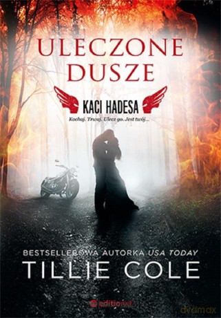 Uleczone dusze. Kaci Hadesa - Tillie Cole [KSIĄŻKA]