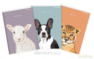 Zeszyt A4/60 linia Animal (5szt)