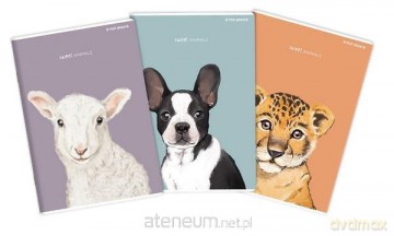 Zeszyt A4/60K gładka Animal (5szt)