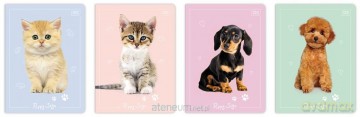 Zeszyt A5/16K kolorowa trzylinia Puppy Sign(20szt)
