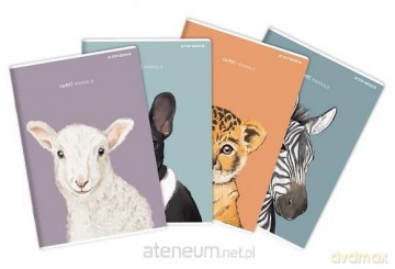 Zeszyt do słówek A6/32K Animal (12szt)