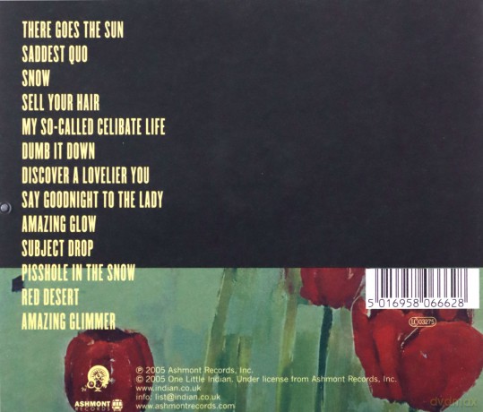 Pernice Brothers: Discover A Lovelier You [CD]