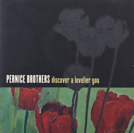 Pernice Brothers: Discover A Lovelier You [CD]