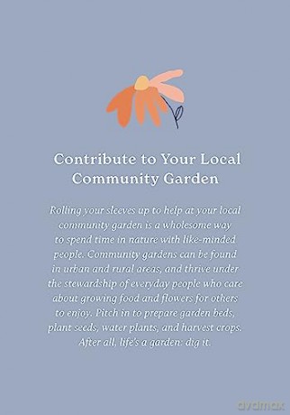 100 Ways to Reconnect with Nature: Everyday cards for wherever you live - Jo Stewart [KSIĄŻKA]
