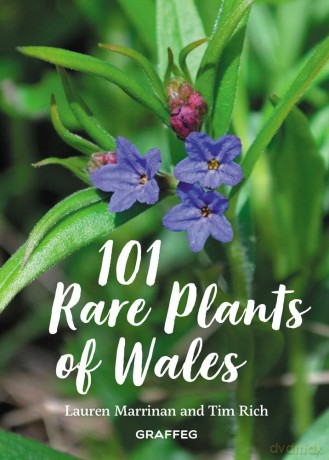 101 Rare Plants of Wales - Lauren Marrinan [KSIĄŻKA]