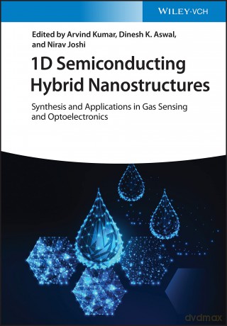 1D Semiconducting Hybrid Nanostructures: Synthesis and Applications in Gas Sensing and Optoelectronics - Arvind Kumar [KSIĄŻKA]