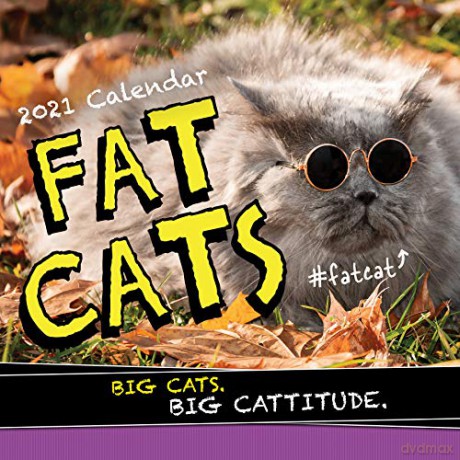 2021 Fat Cats Wall Calendar: Big Cats. Big Cattitude. - Sourcebooks [KALENDARZ]