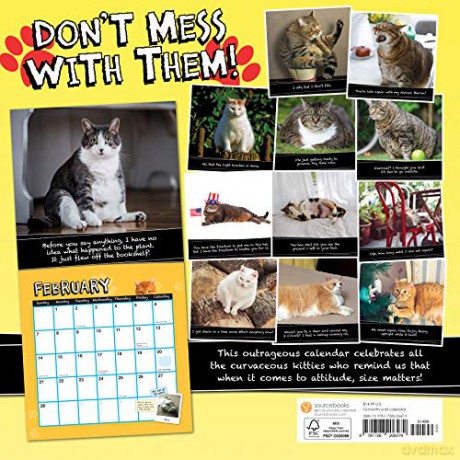 2021 Fat Cats Wall Calendar: Big Cats. Big Cattitude. - Sourcebooks [KALENDARZ]