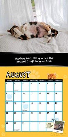2021 Fat Cats Wall Calendar: Big Cats. Big Cattitude. - Sourcebooks [KALENDARZ]