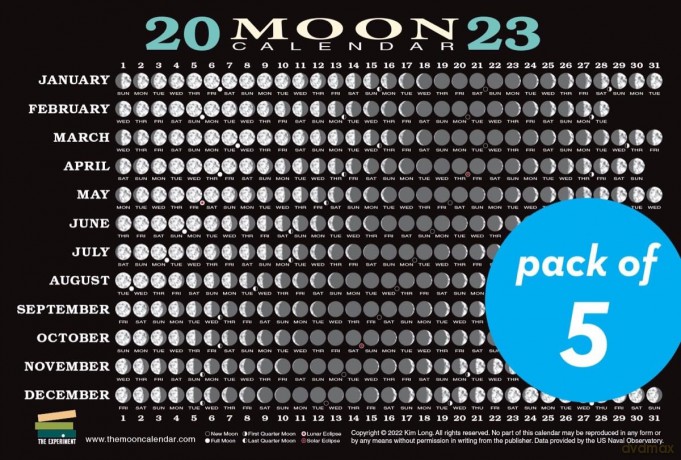 2023 Moon Calendar Card (5 pack): Lunar Phases, Eclipses, and More! - Kim Long [KSIĄŻKA]