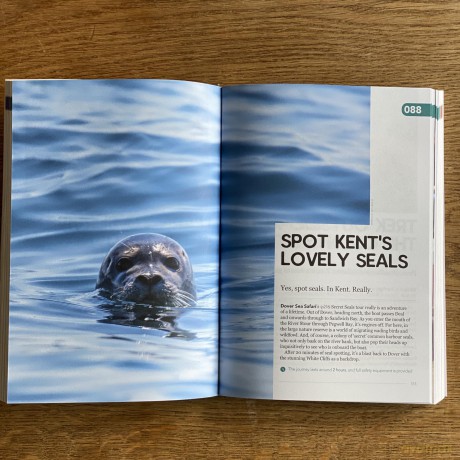 237 Ideas For Stuff To Do And Places To Go In Kent With Kids - Tom Idle [KSIĄŻKA]