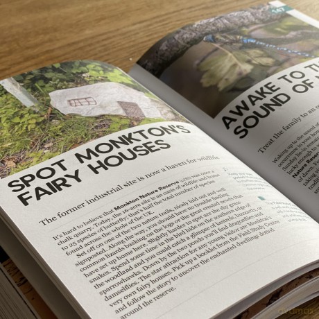 237 Ideas For Stuff To Do And Places To Go In Kent With Kids - Tom Idle [KSIĄŻKA]