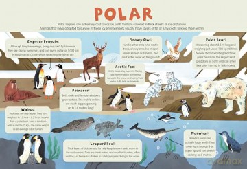 3+ Wild Animals (4 Wipe-Clean Learning Table Mats) [KSIĄŻKA]