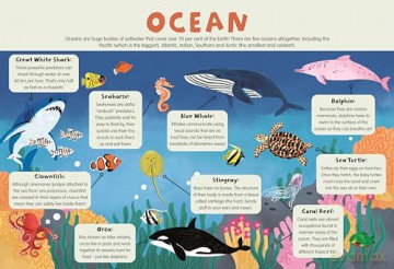 3+ Wild Animals (4 Wipe-Clean Learning Table Mats) [KSIĄŻKA]