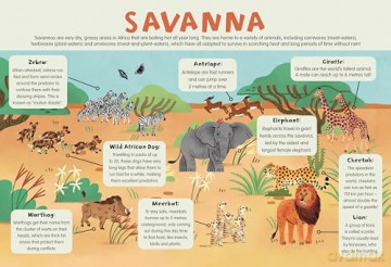 3+ Wild Animals (4 Wipe-Clean Learning Table Mats) [KSIĄŻKA]