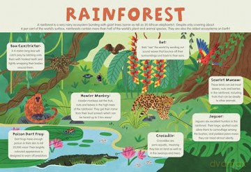 3+ Wild Animals (4 Wipe-Clean Learning Table Mats) [KSIĄŻKA]