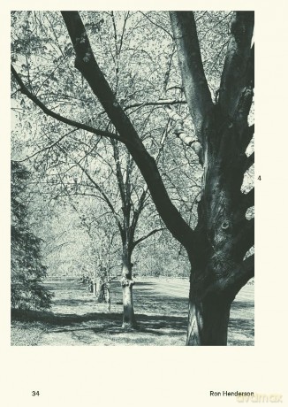 30 Trees: And Why Landscape Architects Love Them - Ron Henderson [KSIĄŻKA]