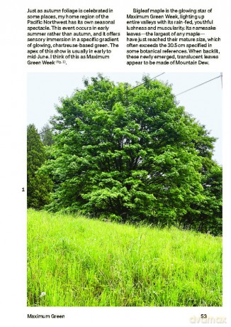 30 Trees: And Why Landscape Architects Love Them - Ron Henderson [KSIĄŻKA]