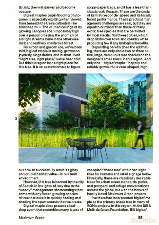 30 Trees: And Why Landscape Architects Love Them - Ron Henderson [KSIĄŻKA]