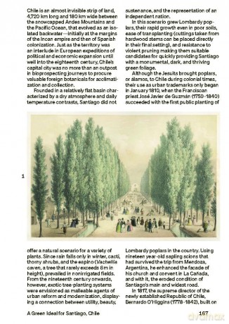 30 Trees: And Why Landscape Architects Love Them - Ron Henderson [KSIĄŻKA]
