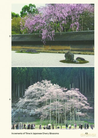 30 Trees: And Why Landscape Architects Love Them - Ron Henderson [KSIĄŻKA]