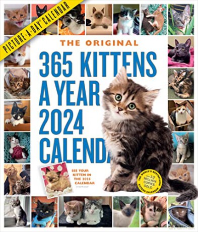 365 Kittens-A-Year Picture-A-Day Wall Calendar 2024: Absolutely Spilling Over With Kittens - Workman Calendars [KALENDARZ]