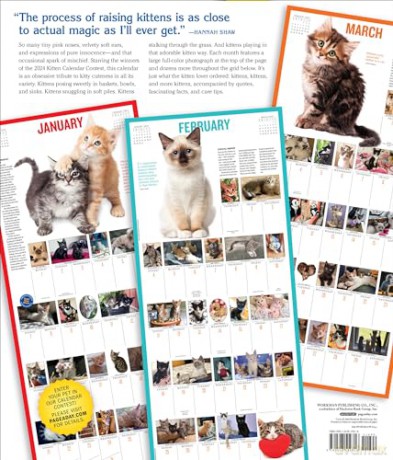 365 Kittens-A-Year Picture-A-Day Wall Calendar 2024: Absolutely Spilling Over With Kittens - Workman Calendars [KALENDARZ]