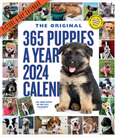 365 Puppies-A-Year Picture-A-Day Wall Calendar 2024: Absolutely Spilling Over With Puppies - Workman Calendars [KALENDARZ]