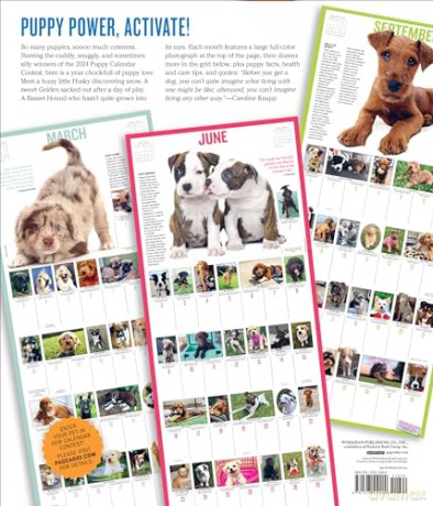 365 Puppies-A-Year Picture-A-Day Wall Calendar 2024: Absolutely Spilling Over With Puppies - Workman Calendars [KALENDARZ]