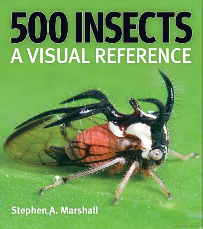 500 Insects: A Visual Reference - Stephen A Marshall [KSIĄŻKA]