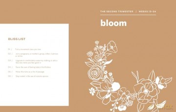 9 Months of Wonder: A Monthly Guide and Journal Prompts for the Conscious Mother-to-Be - Rachel Garahan [KSIĄŻKA]
