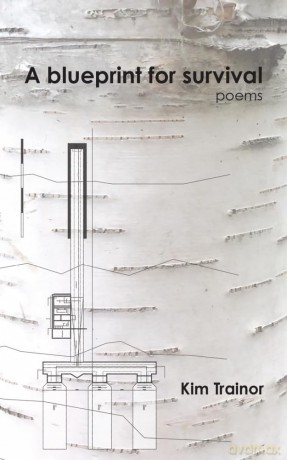 A Blueprint For Survival: Volume 308 (Essential Poets series) [KSIĄŻKA]