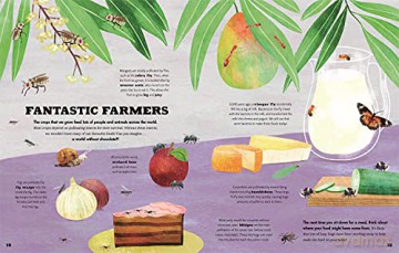 A Bug's World - Erica McAlister [KSIĄŻKA]
