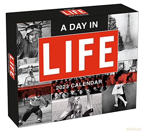 A Day in Life 2023 (BOXEDDAILY 365 DAY COMBINED) - Ti Gotham Inc [KALENDARZ]