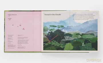 A Family of Trees: My First Book of Forests - Peggy Thomas [KSIĄŻKA]